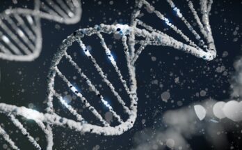 DNA Drives are Nearly Coming